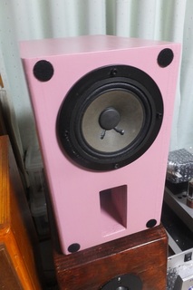 DSCF9521.jpg