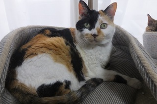 DSCF9653.jpg